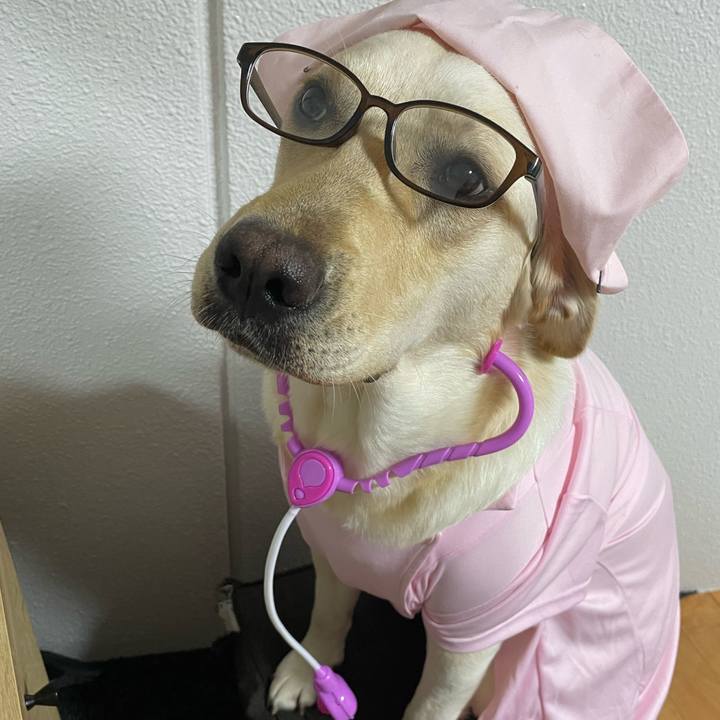 D60b0730 dddd 4b8f 9818 0917a86c1047 1655196893647