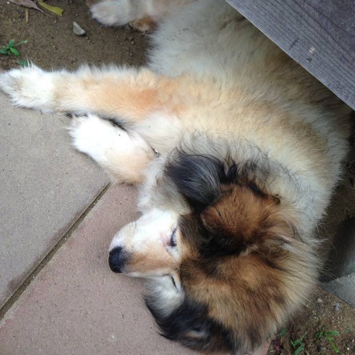 D60b08d9 853d 4bc4 9d20 69bc4cc16beb 1563705663362