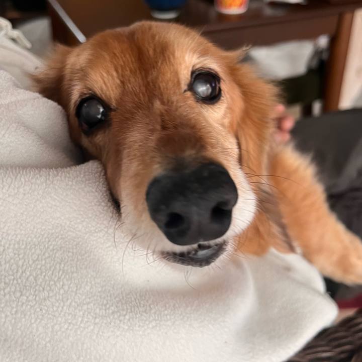 D60b1a05 d129 4da0 94e9 1abeb23e37b5 1649502002351