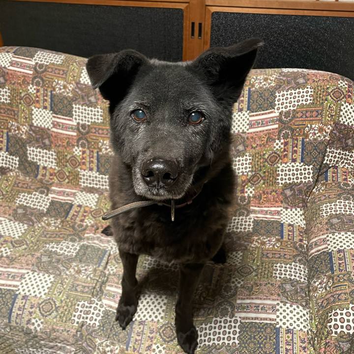 D60b3651 cd71 4838 8fb4 9383afe6756c 1674841318095