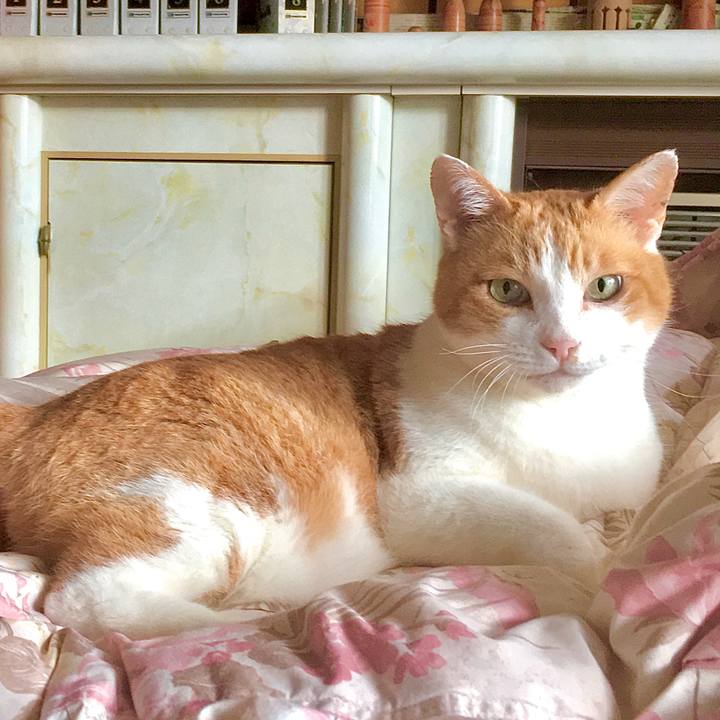 D60b55b7 914e 45ee 9cdb d37bf43ea959 1586144432541