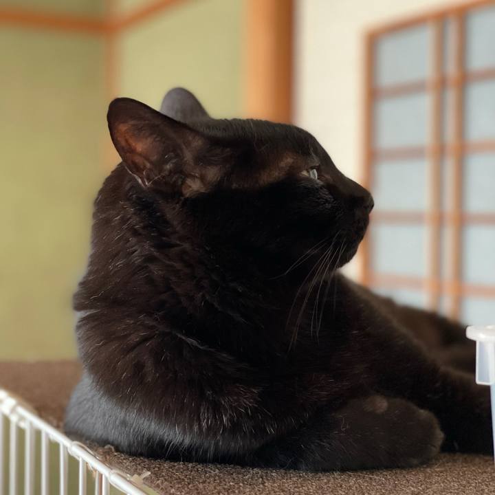 D60bc30a f5ec 435c b62f aee233329aa6 1633483537318