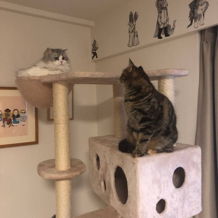 D60be435 5777 434e 99d0 440edc6d7bfe 1612410659445