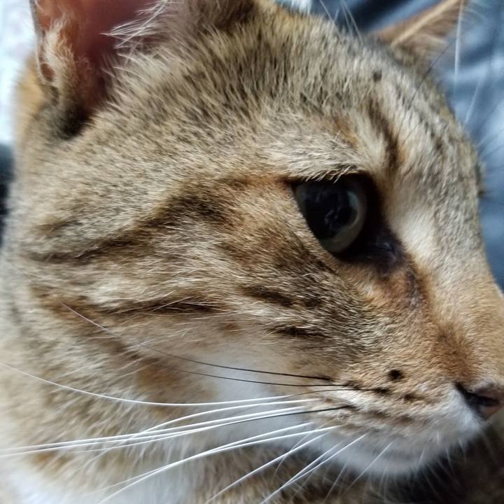 D60bf861 62e7 47cd bb96 88591b7d32ad 1646132672679