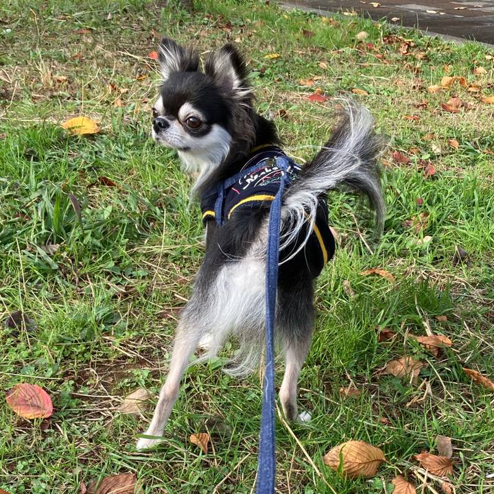 D60c1d1f 4615 43bf a13b 0963307f239e 1667660068756