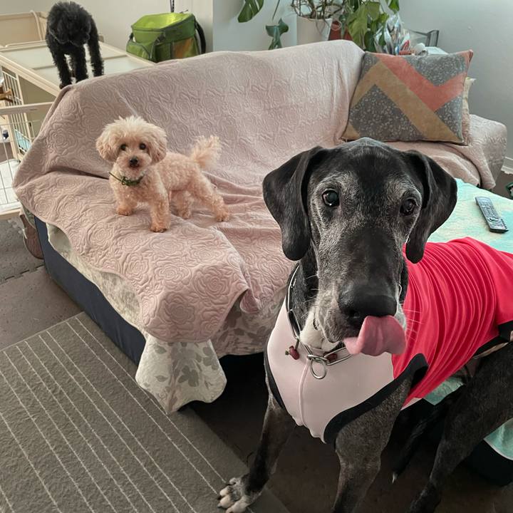 D60c2e04 5151 466a afd7 5d554acb5fa4 1630968512011