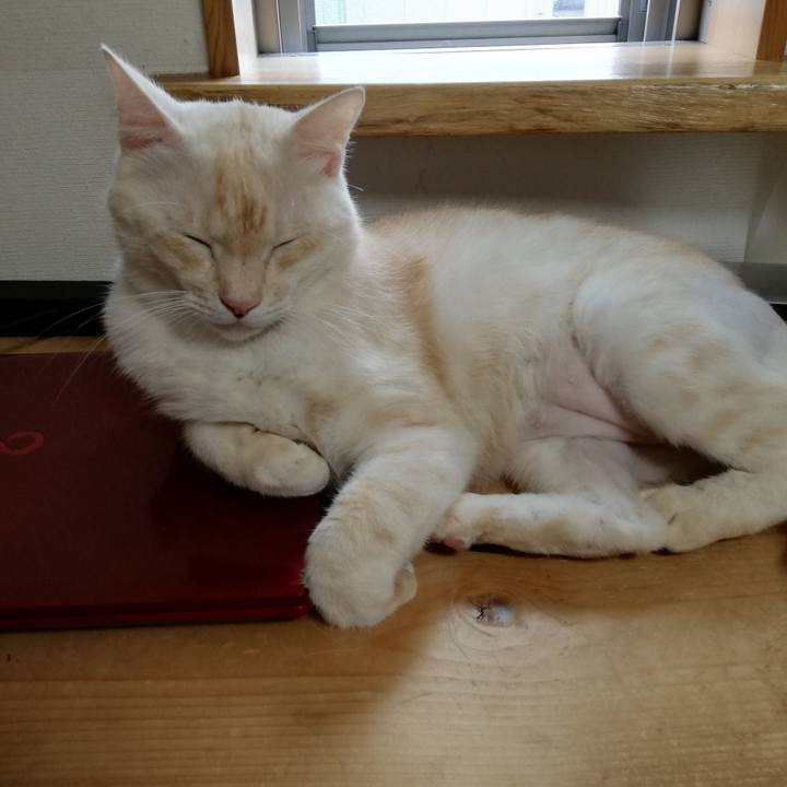 D60c30a7 f94b 49b3 8b14 e8b21511d0b6 1601675692570