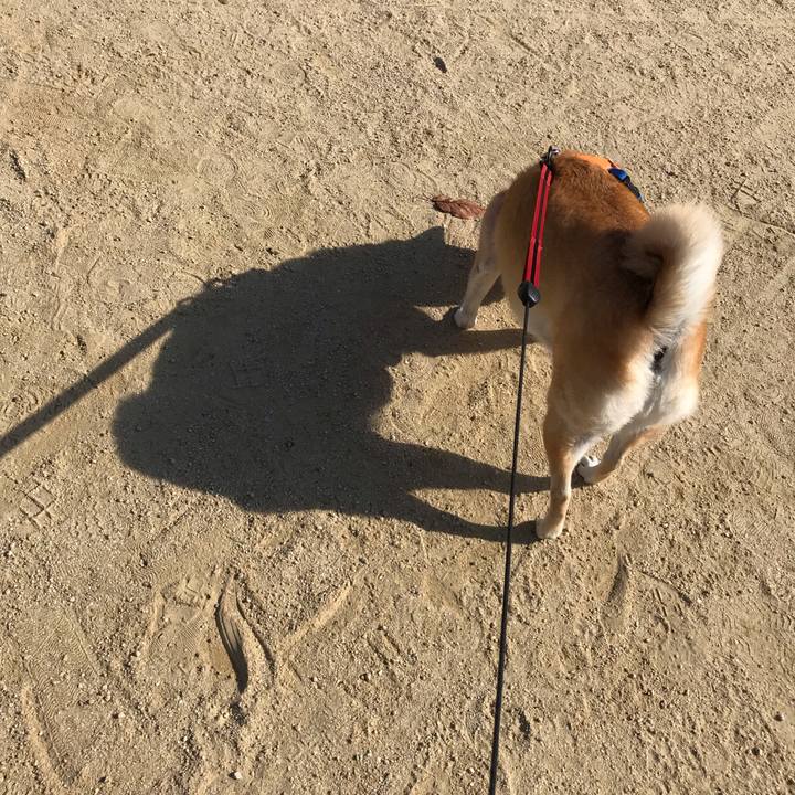 D60c673a a1f9 4f43 9bf1 249573f70398 1542370052265