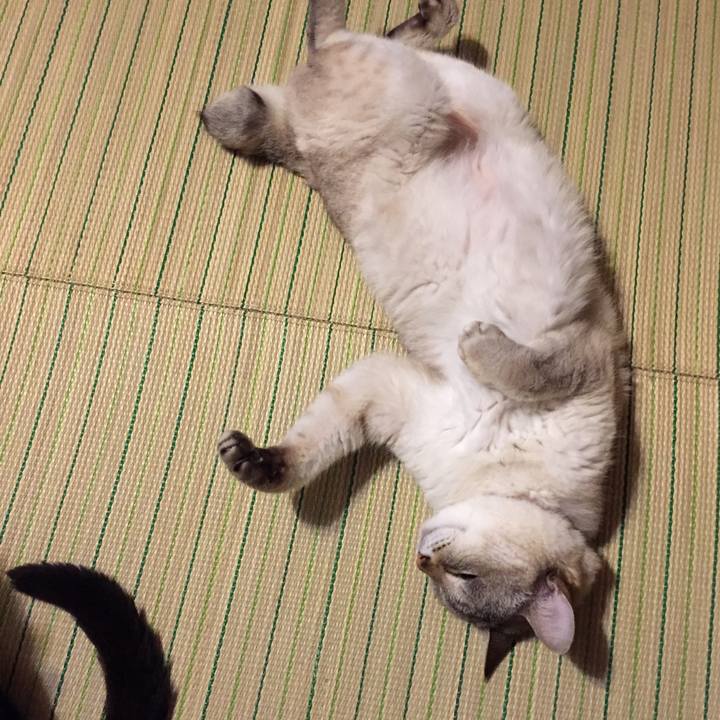 D60c821e 8a52 4a94 b10a 4a1df8011d3d 1529668397264