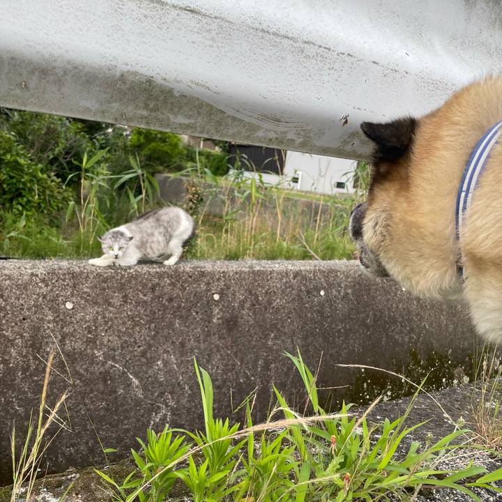 D60c9333 3c85 486a a903 e60431a53f7b 1720614327702