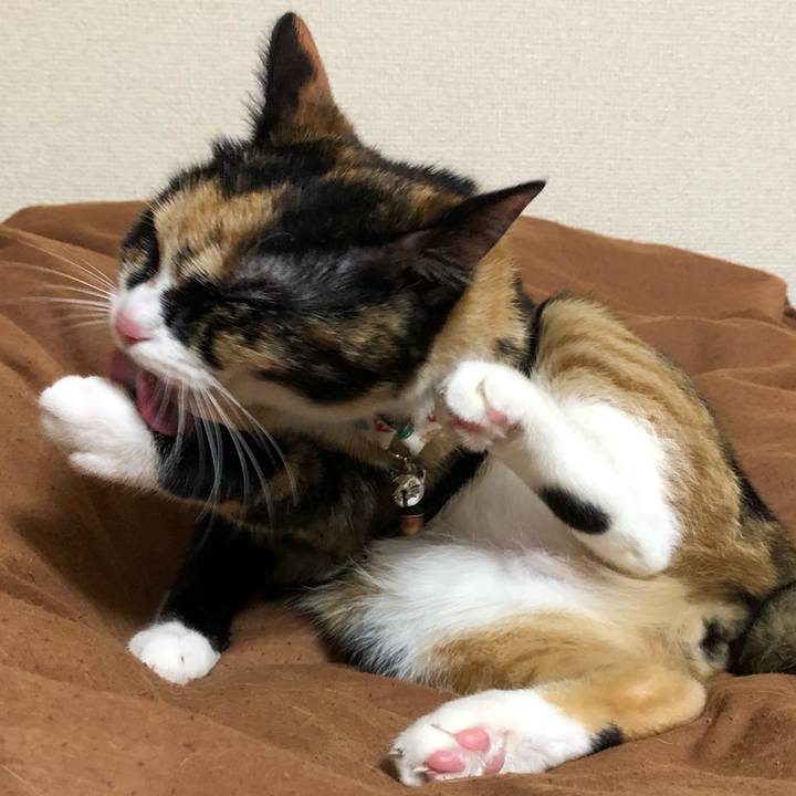 D60c947b 6dc4 4cfb af81 9e58a642934d 1561464103065