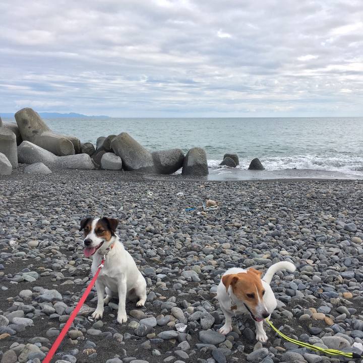 D60caeaa 5057 45b5 9345 41d5100c5f1c 1539495701921