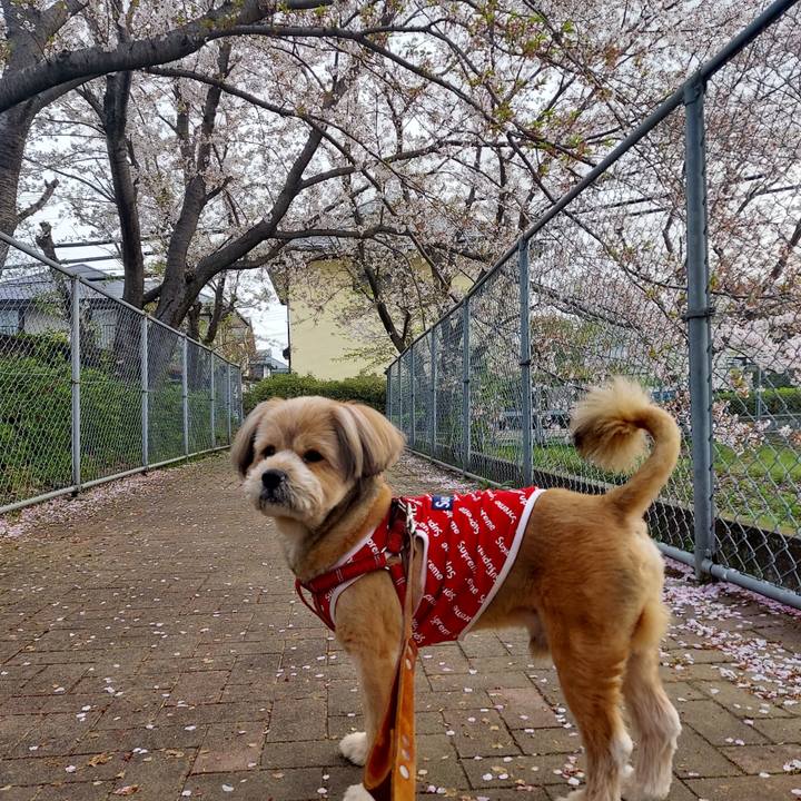 D60ce445 4b3b 463b 9ae5 45648dc900b6 1617057646068