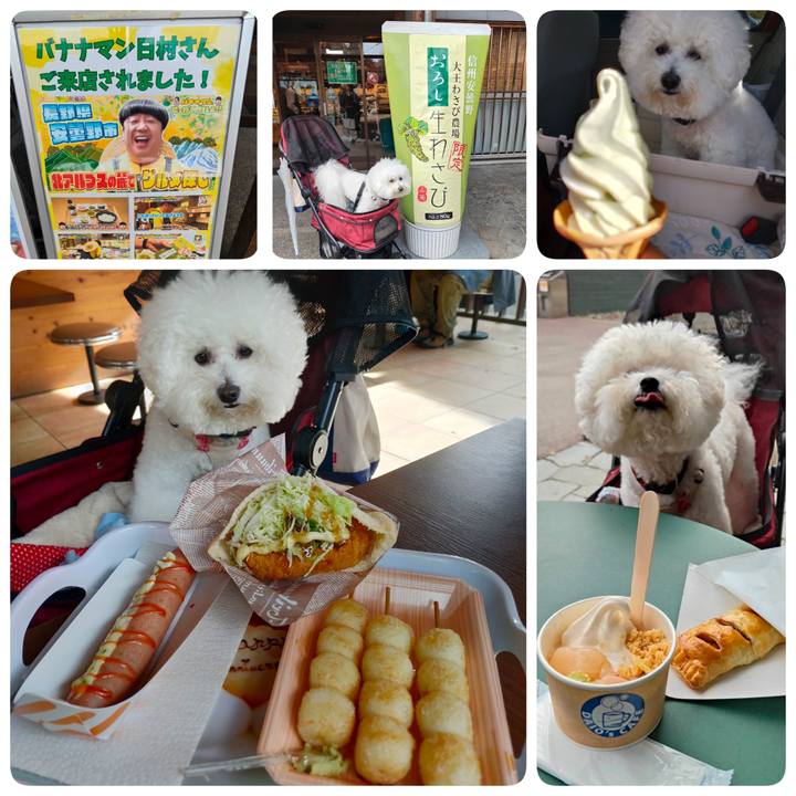 D60cf65c 3c23 4623 b4cf 8b352bdd323e 1763079924422