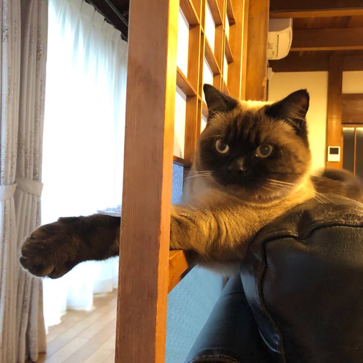 D60d10bf 6bdc 40ee 8d9a 6f71a4770f5f 1615712074332