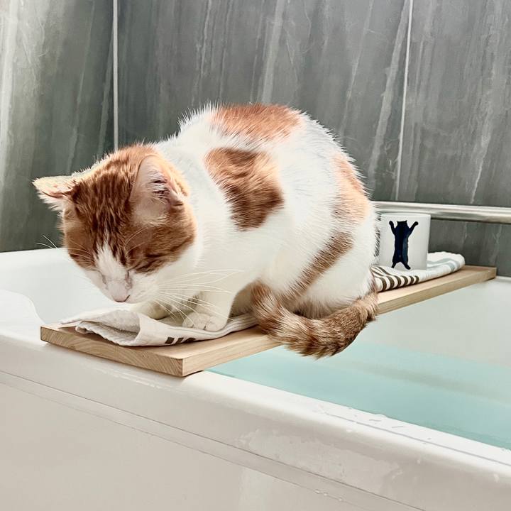 D60d1ce1 921b 43f6 a1cb 5582135d62d4 1768872110004