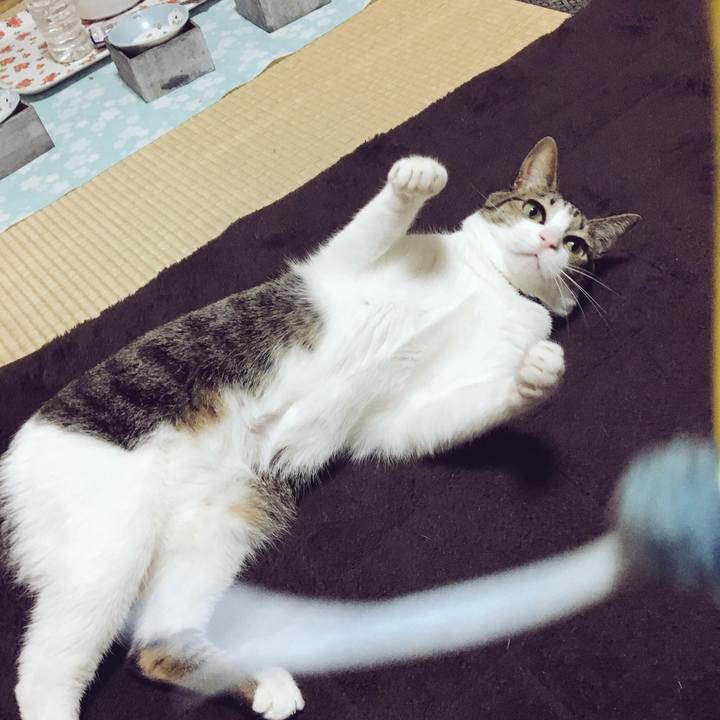 D60d30ed 11a2 417d 8f96 3845b3db4447 1524183332612