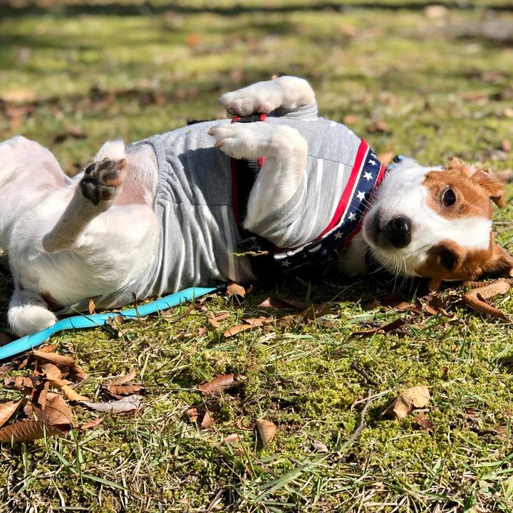 D60d7762 73ba 4397 bbb6 d4edd90139f6 1636703415157