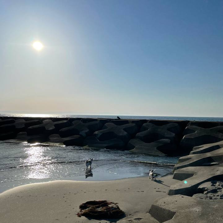 D60da191 5953 4b8c 9a9b 1cccf3d02f78 1620898029705