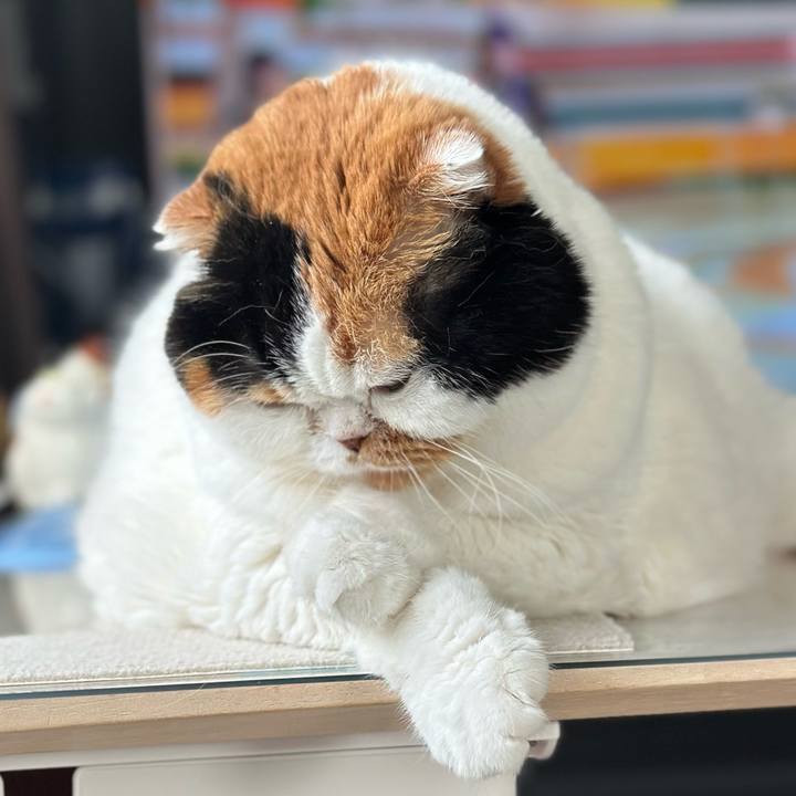 D60dbc76 601a 41b6 b4cf 534681bf70cb 1723333360792