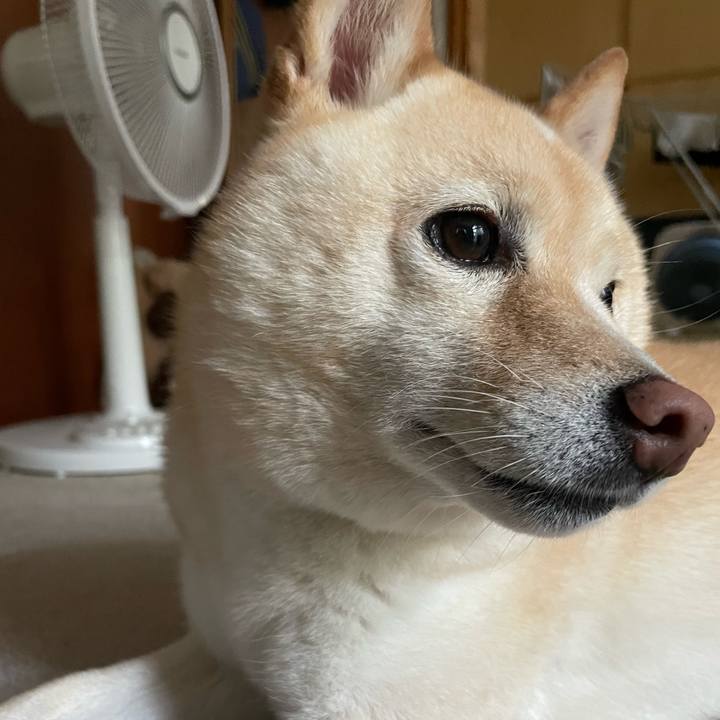 D60e117b 3267 4c72 8f40 f9d06d6534ab 1695439552687