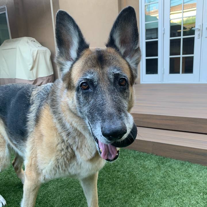 D60e2d13 77fe 4de9 b671 b4235c00a908 1594607422819