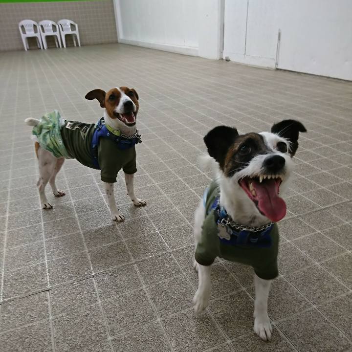 D60e5228 0516 429a b35b 96c81b305bb8 1556779173691