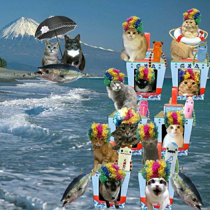 D60e5691 8717 4463 9e1c 871532902ecd 1557011810795