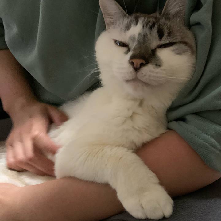 D60e5be3 5b3a 4ef9 a688 211069bfb8df 1619745482970