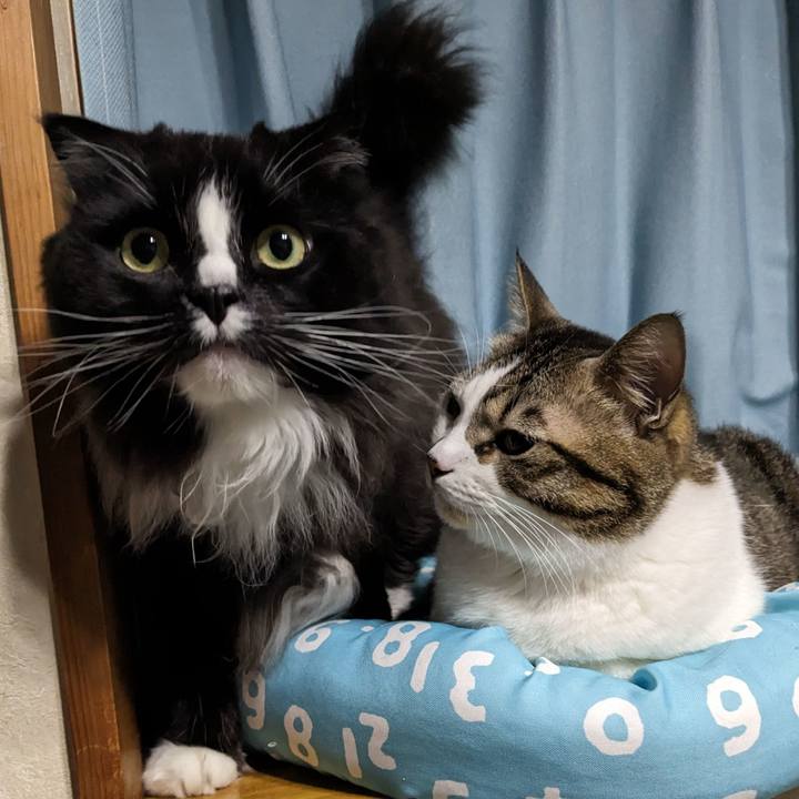 D60eae06 e9e5 41cb 9bbd 90104c72e888 1700603653852