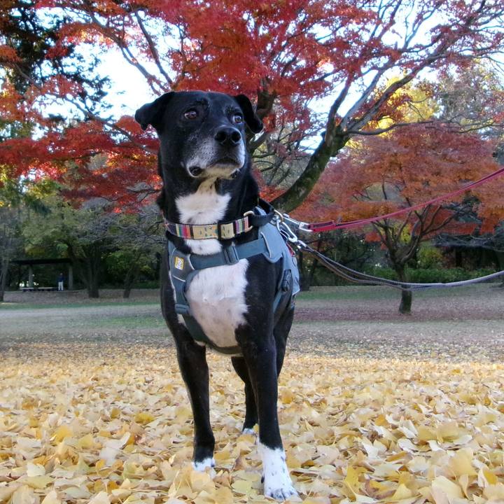 D60ed591 91db 4356 9885 6539803976f7 1733527923819