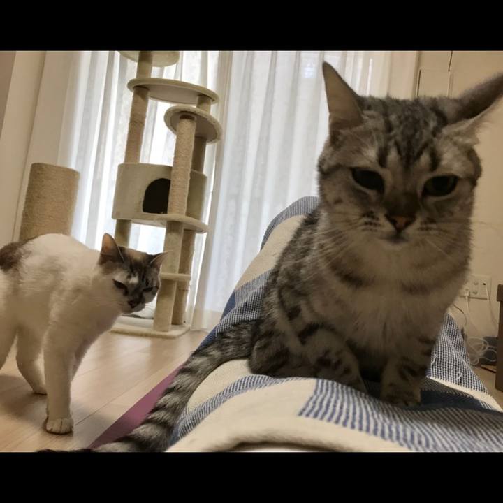 D60ed692 ec95 4acd bbc9 0852caabcaf7 1531398492940