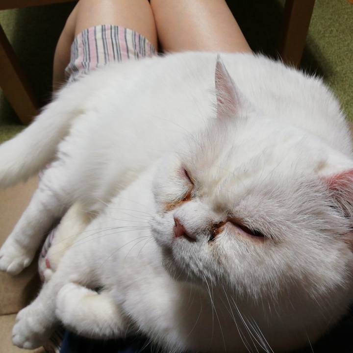 D60eddb6 e8d0 44d3 aad2 f5a5a5521209 1650103428150