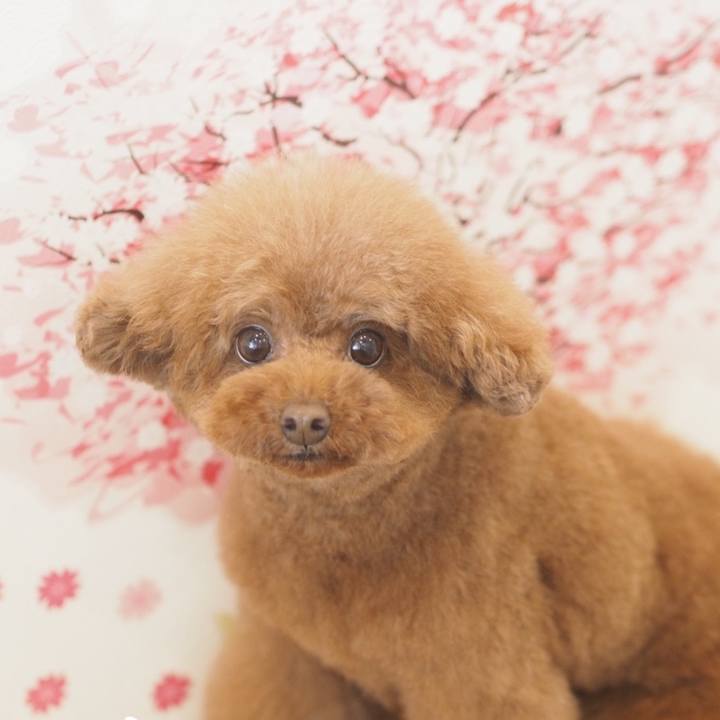 D60ee27f 8d71 4fee 8558 7332e1c3f7f3 1585478907849