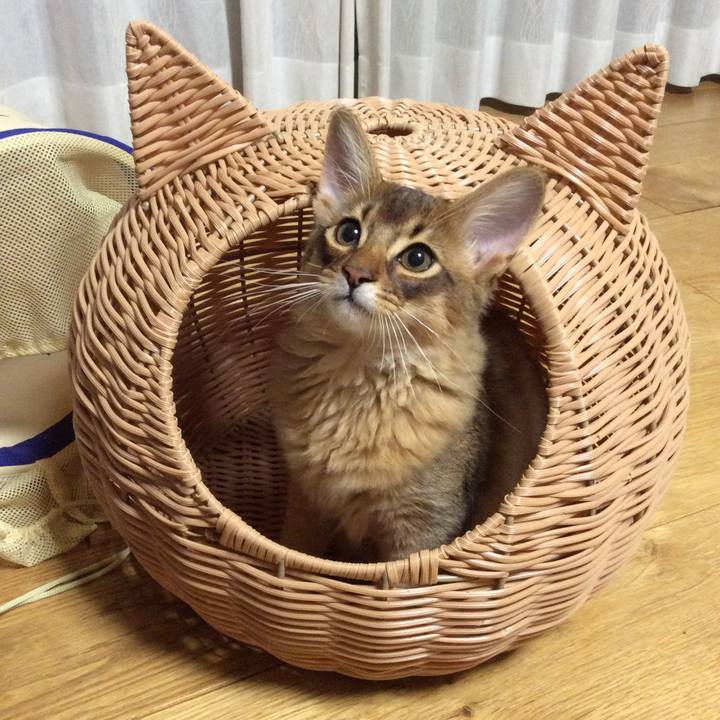 D60f2f7c 4761 4f3b ad11 a8de8bb42a5e 1573712566467