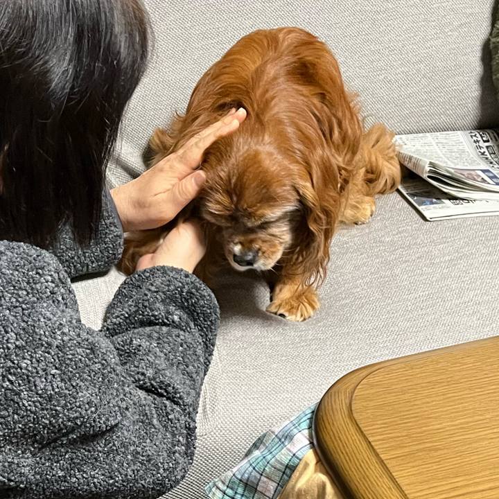 D60f384b fa27 4481 9930 952bd323f147 1766364632309