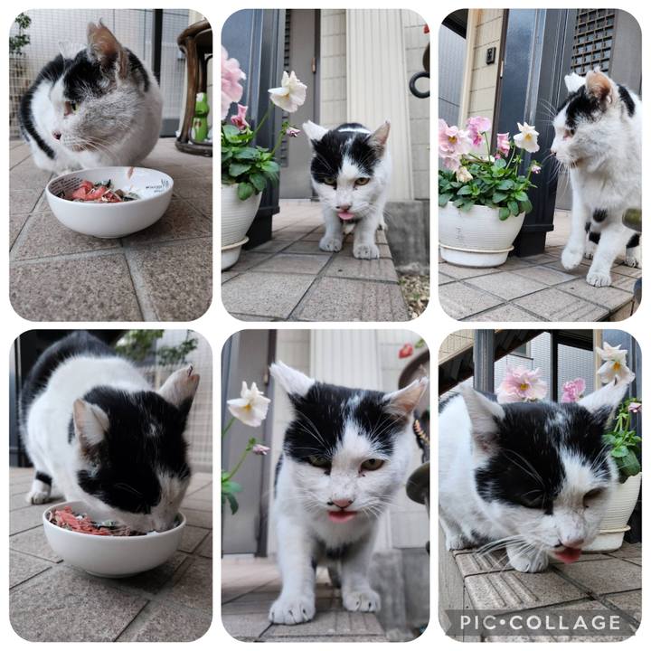 D60f3d92 9276 4127 a864 d78d37540344 1768297300464