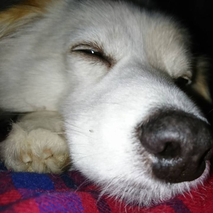 D60f48bd b54c 472b 990b b4a50c003082 1514234649103