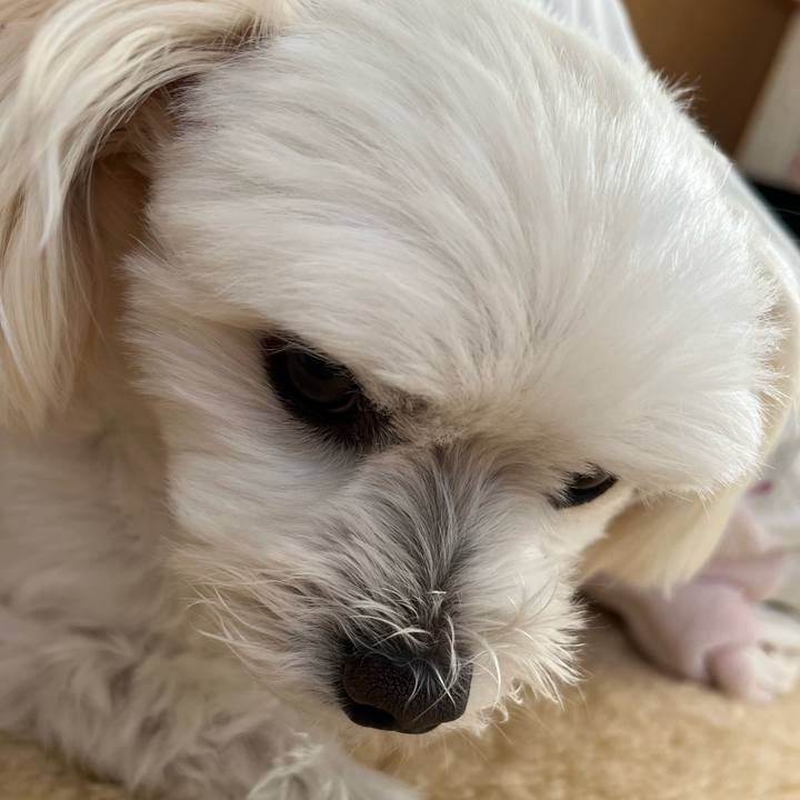 D60f75e4 bbcc 4a36 be16 61d22fdd098e 1668563865824