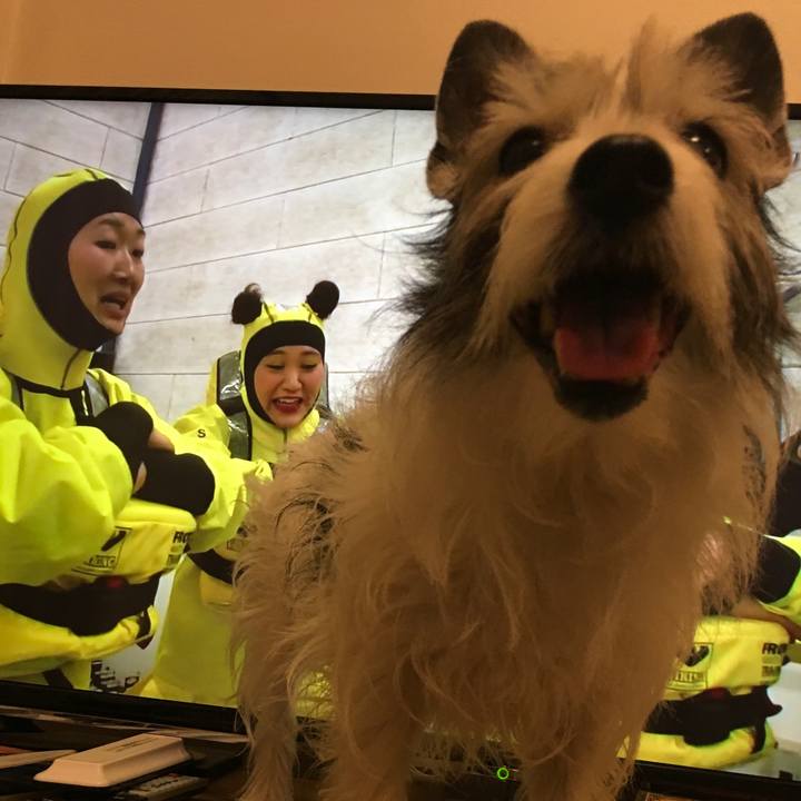 D60f8168 3d75 4519 903a 82b5f3bfe247 1557057152065