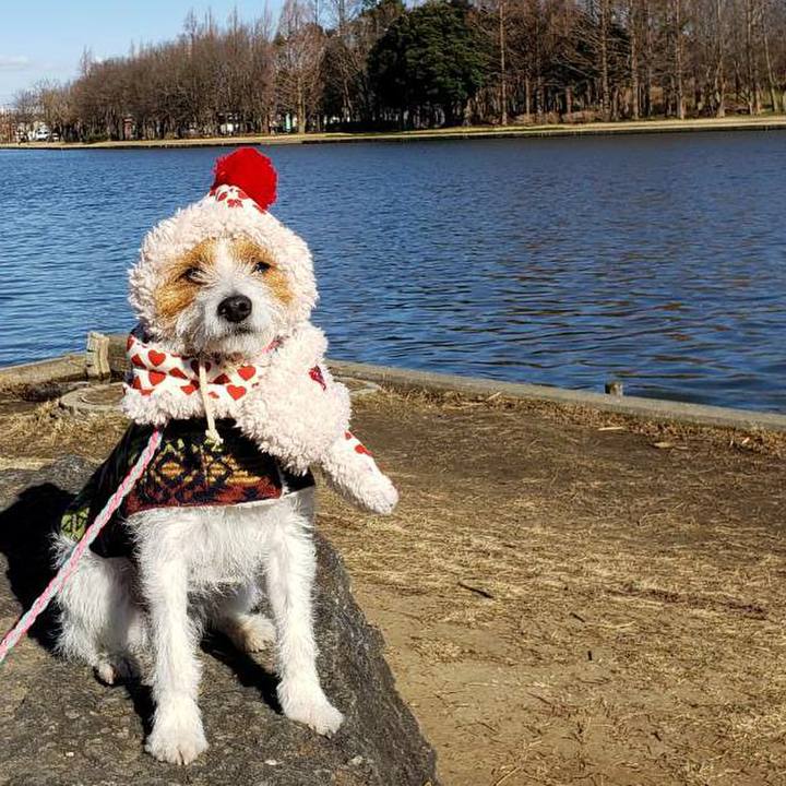 D60f92bf ff73 4d20 8021 ed6fb85b6202 1581227746959