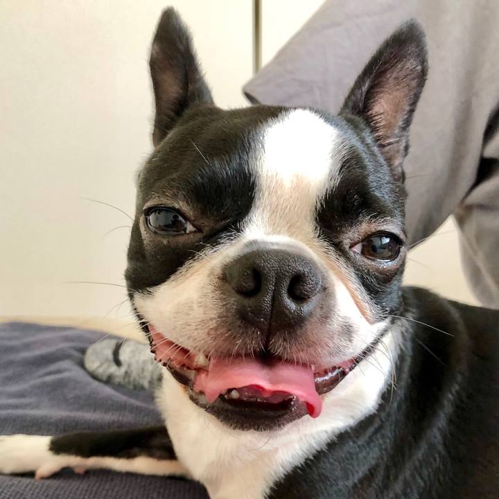 D60f9a31 79ea 4431 9e86 760d894aa749 1531802017674