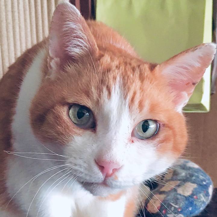 D60fa57c af50 4908 9591 13c9fe32f76f 1587528319921