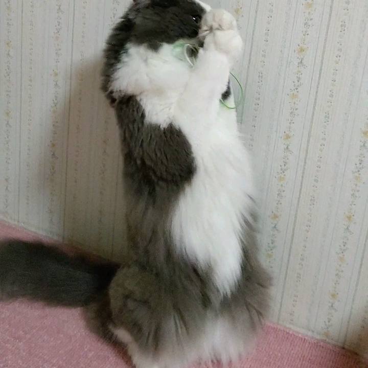 D60fa839 196a 4a06 abf0 35cee03dafd0 1593345219992