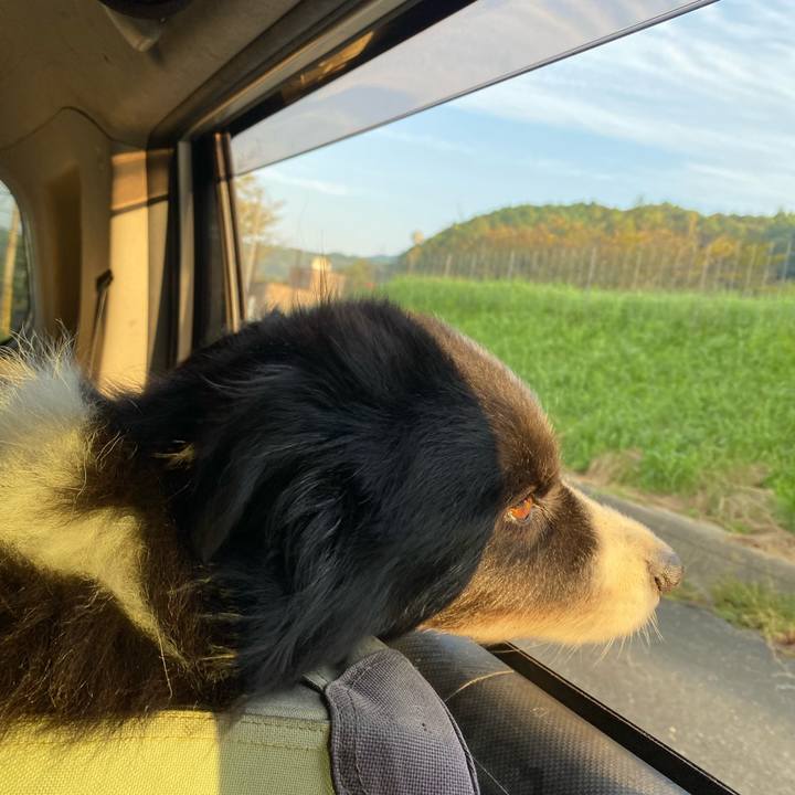 D60fc7c4 9d46 4486 bf4f 302fb0789a8e 1696111834030