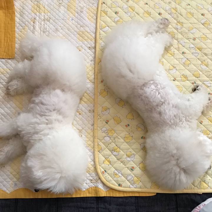 D60fe5e6 3940 468a 86fc 2c4c2984b423 1596613232189