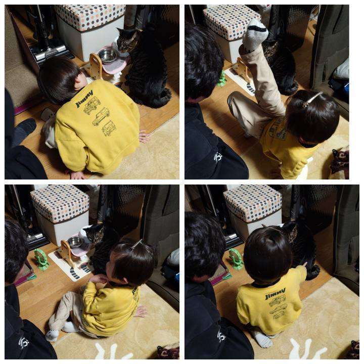 D60fec64 4bfb 481e 8989 c3b227ff4520 1774012325453