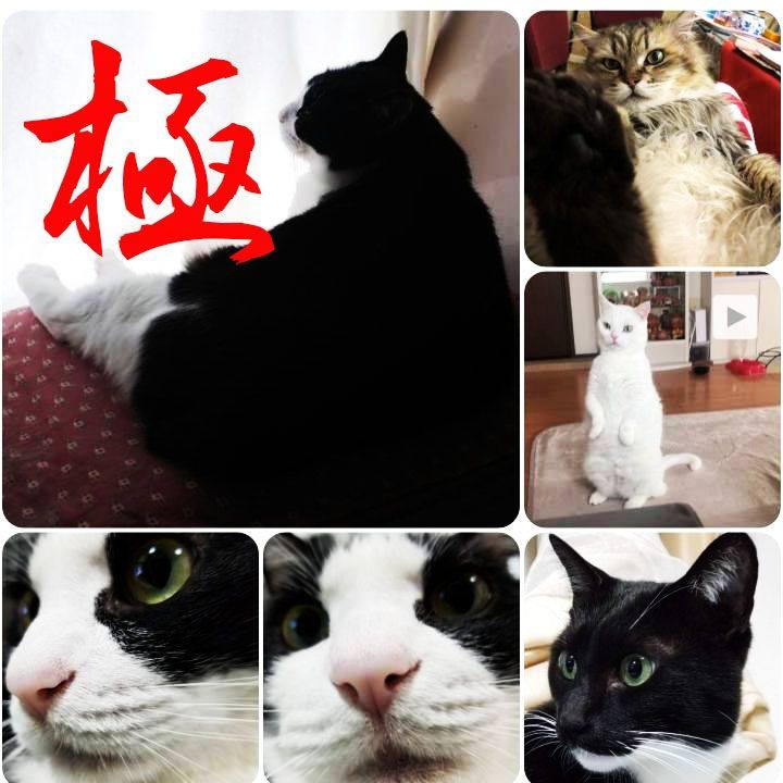 D61011ba 0866 485f a86c ee65fc4314d1 1555224251182