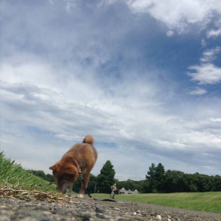 D6101cfc e9f8 4810 94aa 6dff41366518 1530072993695