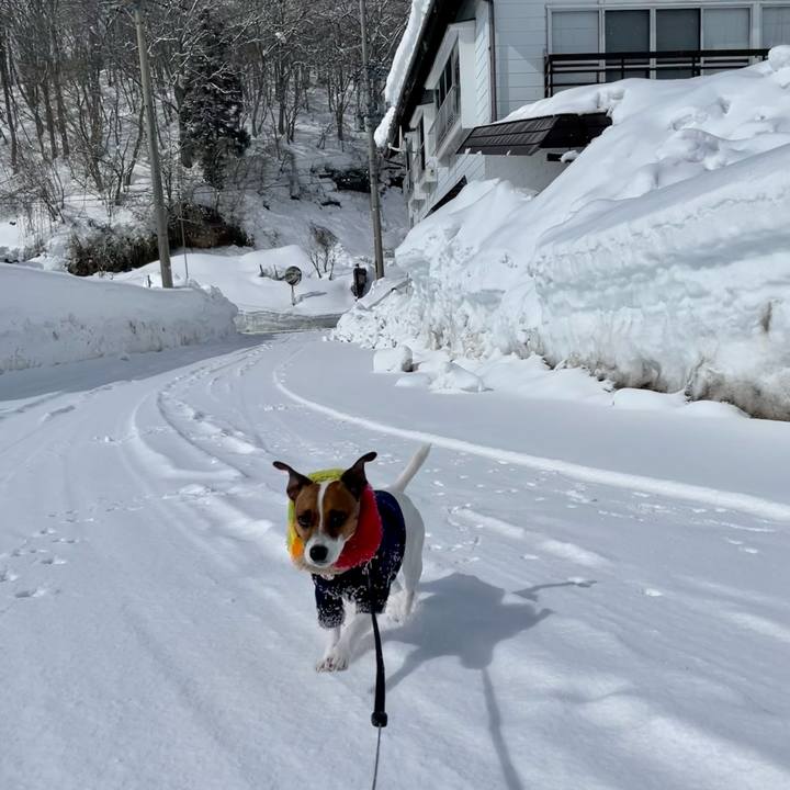 D610438d ef41 4221 8097 c01e3c03d0d4 1645096218221